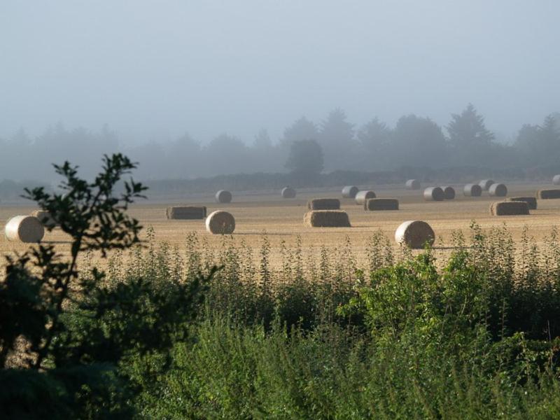 ヨーク High Park Farmヴィラ エクステリア 写真
